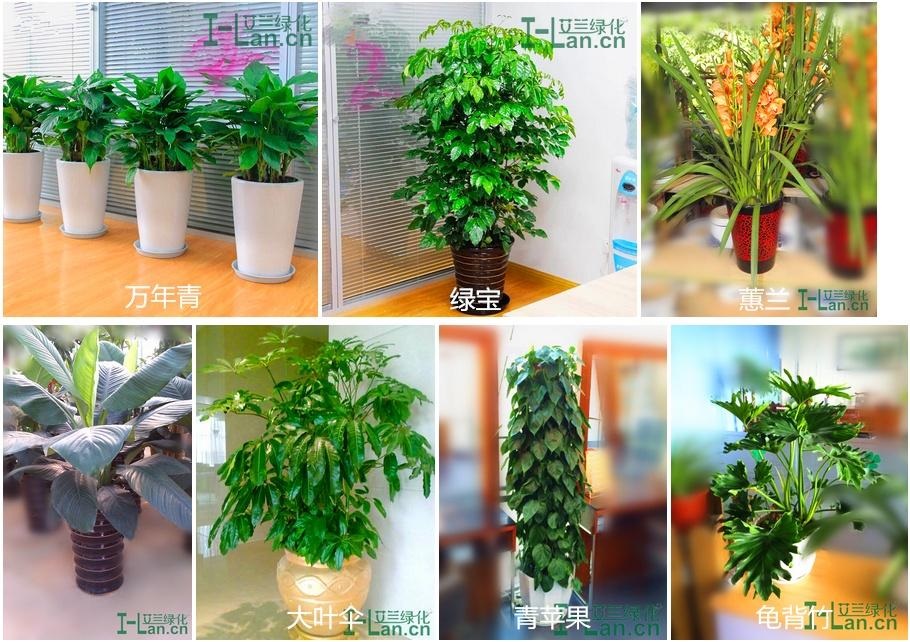 pp电子游戏模拟器(试玩)官方网站